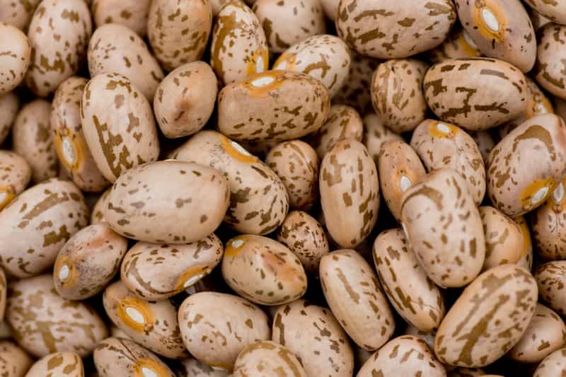 خرید و قیمت لوبیا چیتی تازه شمال + فروش عمده